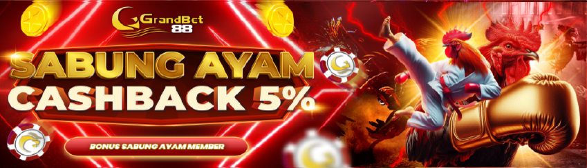 Cashback Sabung Ayam