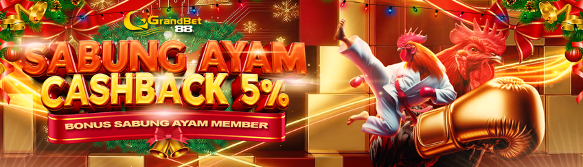 Cashback Sabung Ayam