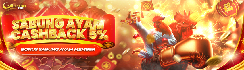 Cashback Sabung Ayam