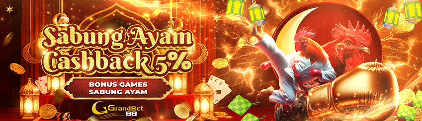 Cashback Sabung Ayam